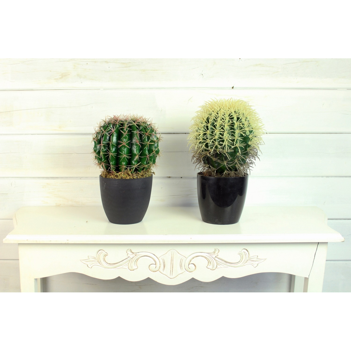 Coussin de bellemère artificiel 30 cm Cactus artificiels Artiplantes — free download