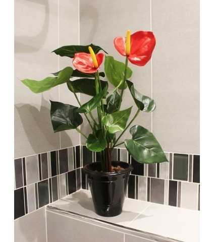 Petit anthurium artificiel