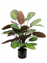 Calathea artificiel rosea picta