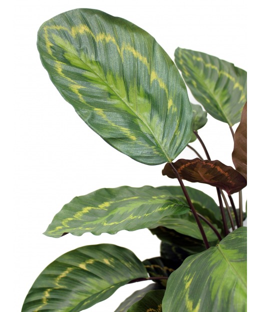 Telo Occhiellato Bicolore Verde-Blu 3x6 Metri | Impermeabile E Resistente Per Campeggio, Edilizia E Agricoltura - Foto 5