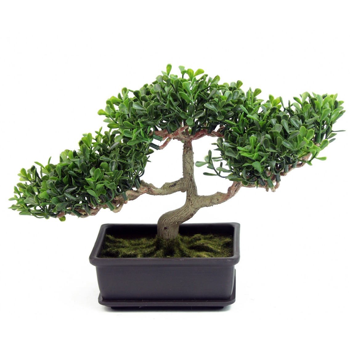 https://d31ucaydsf5avx.cloudfront.net/7789-large_default/bonsai-arbre-the-artificiel.jpg