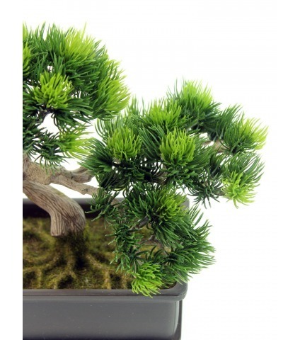 Bonsaï artificiel pinus