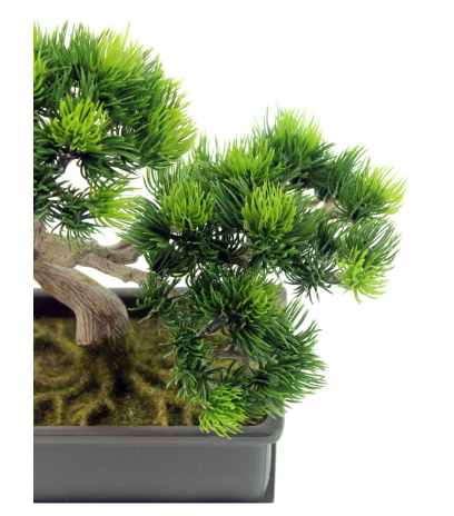 Bonsaï artificiel pinus