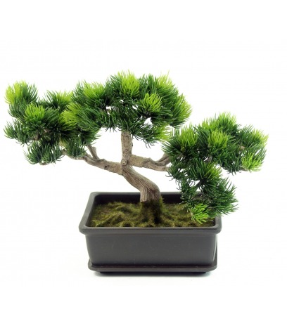 Bonsaï artificiel pinus