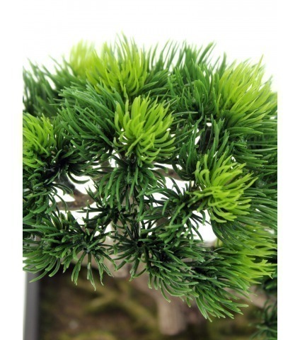 Bonsaï artificiel pinus
