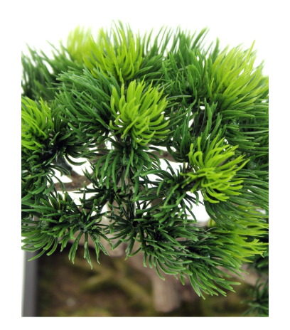 Bonsaï artificiel pinus
