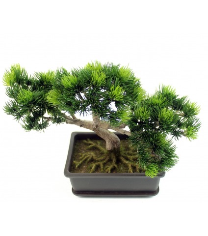 Bonsaï artificiel pinus