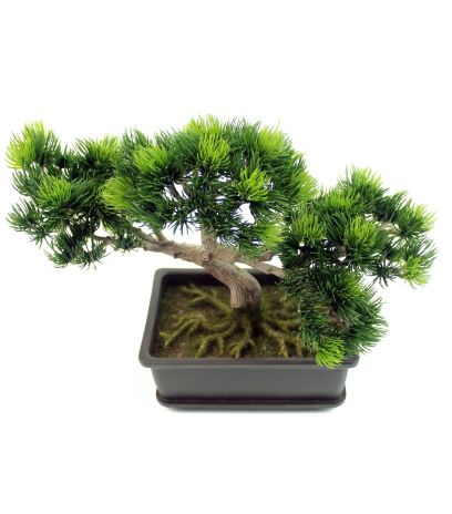 Bonsaï artificiel pinus
