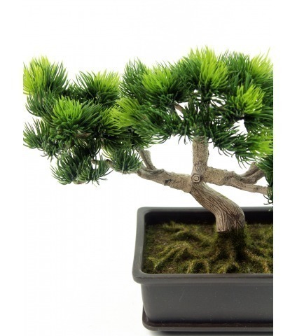 Bonsaï artificiel pinus