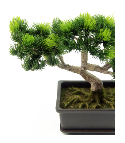 Bonsaï artificiel pinus