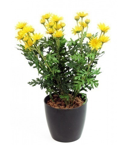 Marguerite artificielle