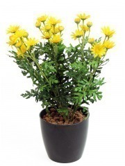 Marguerite artificielle