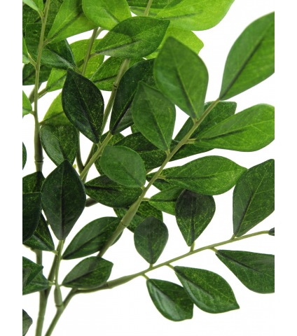 Feuille de murraya artificielle