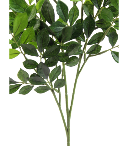 Feuille de murraya artificielle