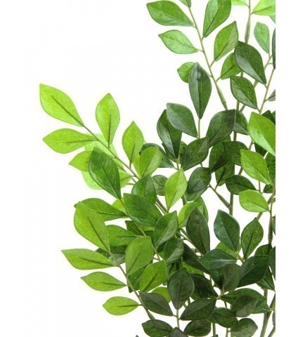 Feuille de murraya artificielle