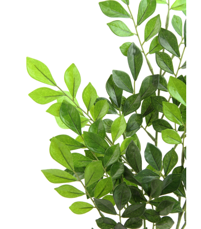Feuille de murraya artificielle