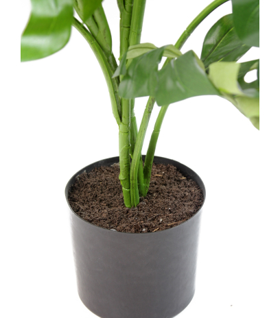 Pot