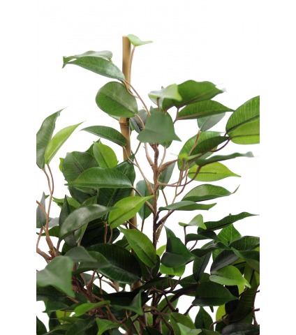 Ficus artificiel natasja