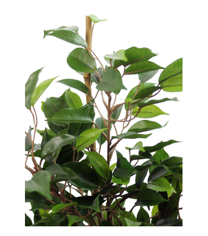 Ficus artificiel natasja