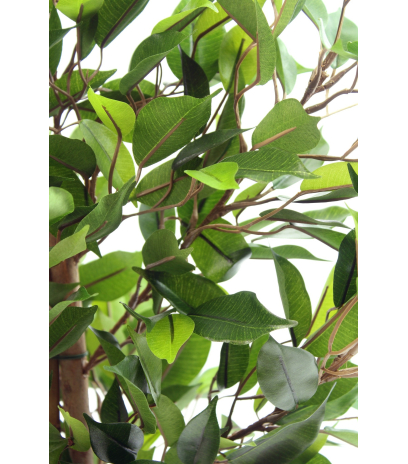 Ficus artificiel natasja