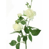 Rose artificielle blanche margaux 