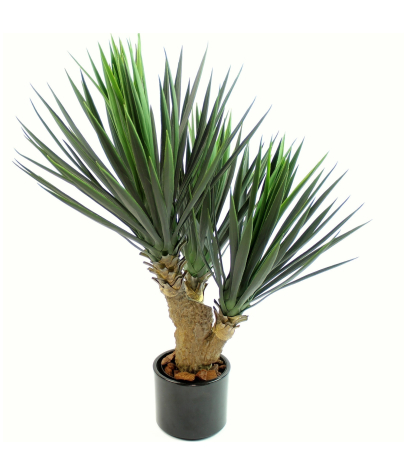 Yucca artificiel à trois têtes