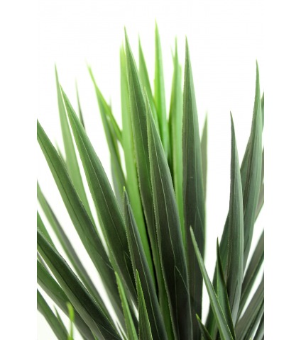 Yucca artificiel à trois têtes