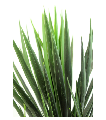 Yucca artificiel à trois têtes