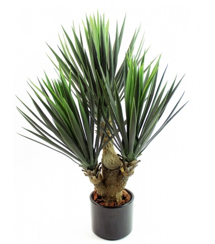 Yucca artificiel à trois têtes