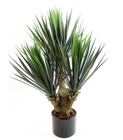 Yucca artificiel à trois têtes
