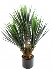 Yucca artificiel à trois têtes