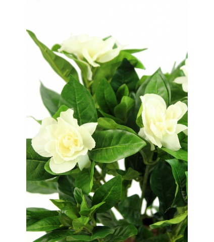Gardénia artificiel