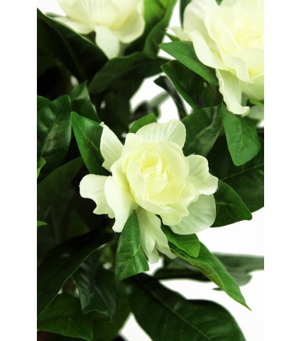Gardénia artificiel