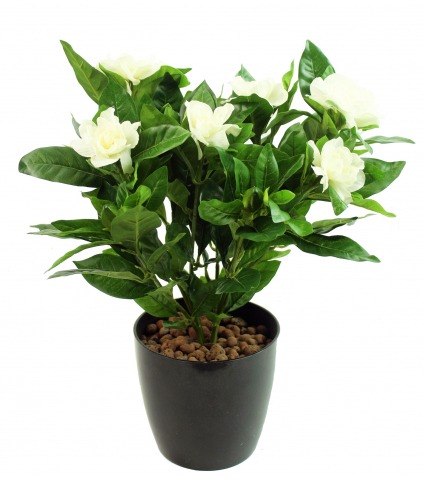 Gardénia artificiel