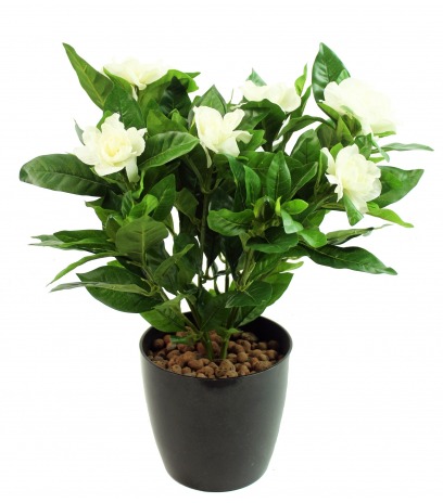 Gardénia artificiel