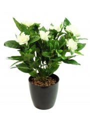 Gardénia artificiel
