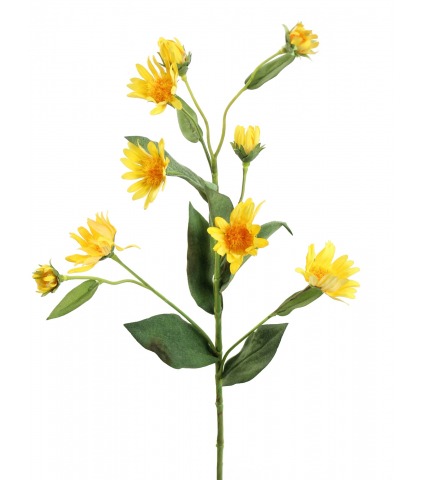Aster artificiel jaune