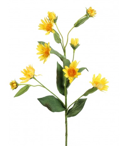 Aster artificiel jaune