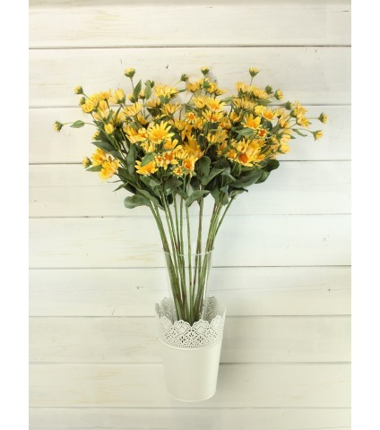 Aster artificiel jaune