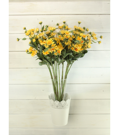 Aster artificiel jaune