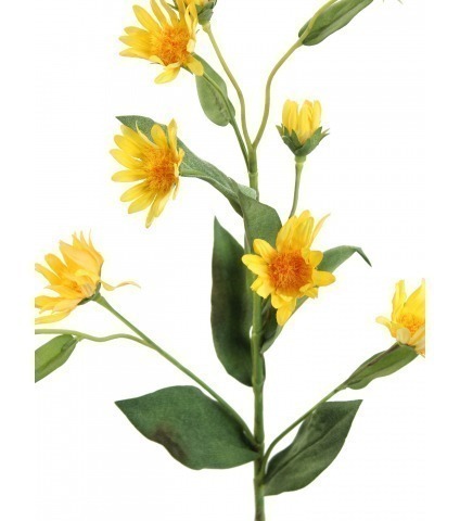 Aster artificiel jaune