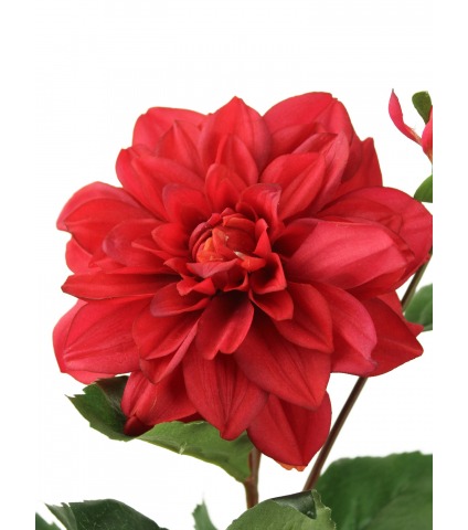 Dahlia artificiel rubis