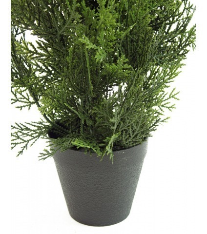 Thuya artificiel