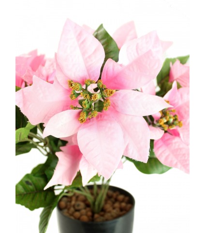 Poinsettia artificiel