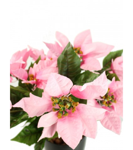 Poinsettia artificiel