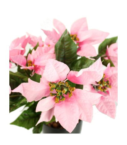 Poinsettia artificiel