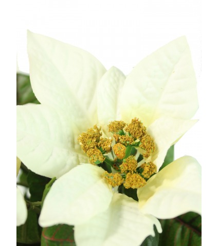 Poinsettia artificiel