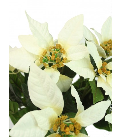 Poinsettia artificiel