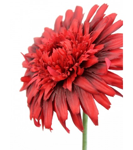 Fleur de gerbera rouge artificielle