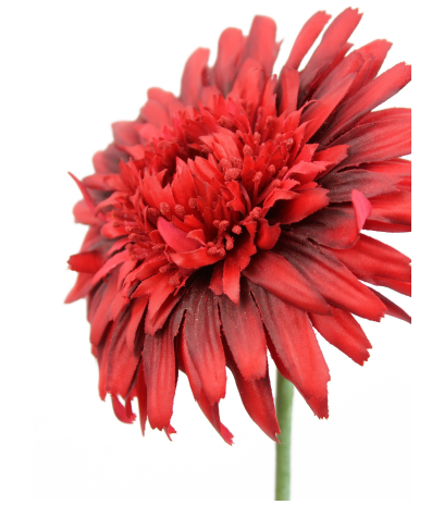 Fleur de gerbera rouge artificielle